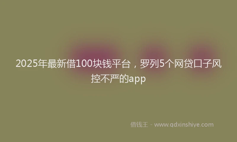 2025年最新借100块钱平台，罗列5个网贷口子风控不严的app