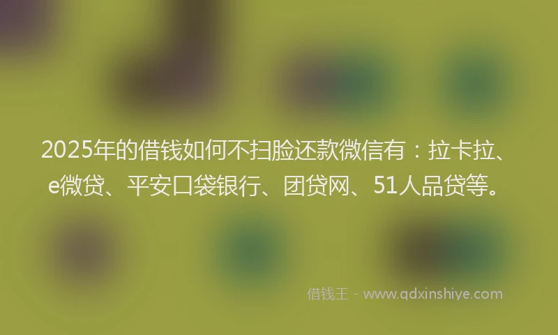 2025年的借钱如何不扫脸还款微信有：拉卡拉、e微贷、平安口袋银行、团贷网、51人品贷等。