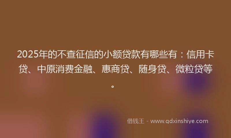 2025年的不查征信的小额贷款有哪些有：信用卡贷、中原消费金融、惠商贷、随身贷、微粒贷等。