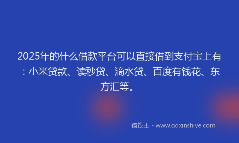 2025年的什么借款平台可以直接借到支付宝上有：小米贷款、读秒贷、滴水贷、百度有钱花、东方汇等。