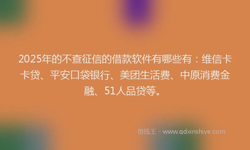 2025年的不查征信的借款软件有哪些有：维信卡卡贷、平安口袋银行、美团生活费、中原消费金融、51人品贷等。