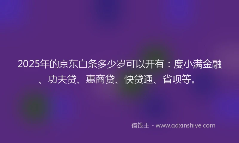 2025年的京东白条多少岁可以开有：度小满金融、功夫贷、惠商贷、快贷通、省呗等。