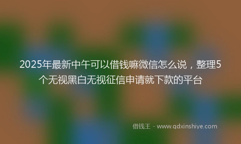 2025年最新中午可以借钱嘛微信怎么说，整理5个无视黑白无视征信申请就下款的平台