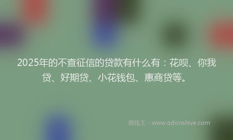 2025年的不查征信的贷款有什么有：花呗、你我贷、好期贷、小花钱包、惠商贷等。