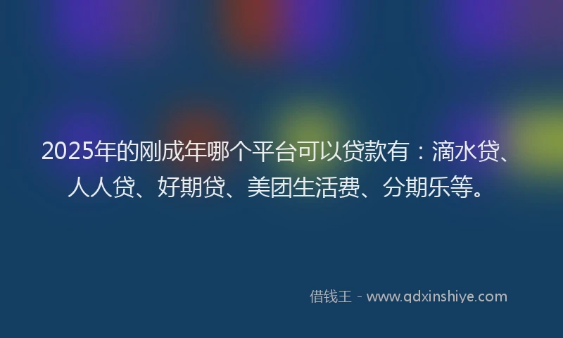 2025年的刚成年哪个平台可以贷款有：滴水贷、人人贷、好期贷、美团生活费、分期乐等。