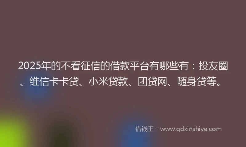 2025年的不看征信的借款平台有哪些有：投友圈、维信卡卡贷、小米贷款、团贷网、随身贷等。