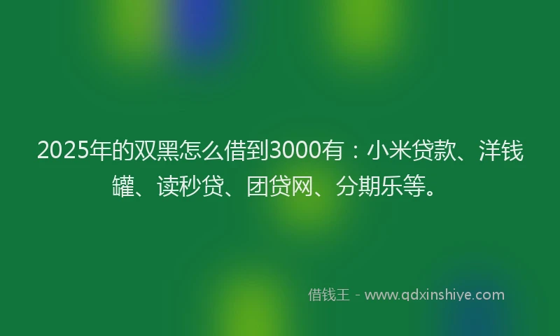 2025年的双黑怎么借到3000有：小米贷款、洋钱罐、读秒贷、团贷网、分期乐等。