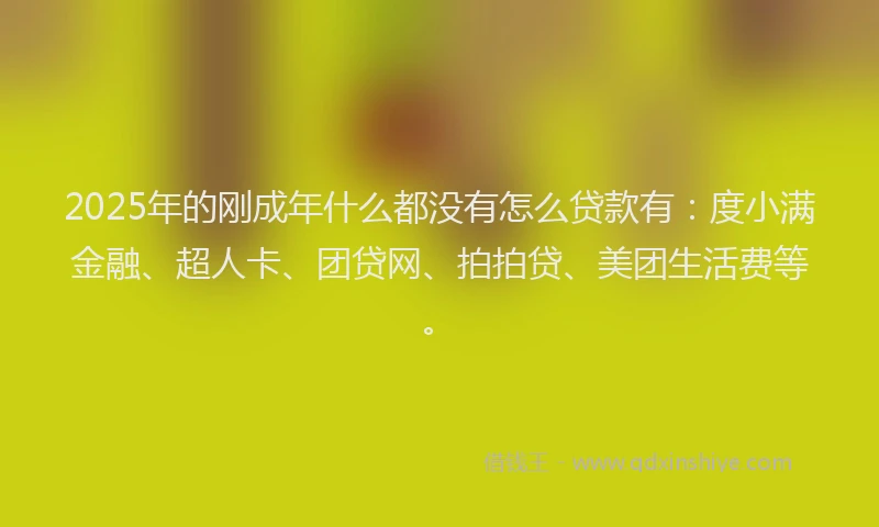 2025年的刚成年什么都没有怎么贷款有：度小满金融、超人卡、团贷网、拍拍贷、美团生活费等。