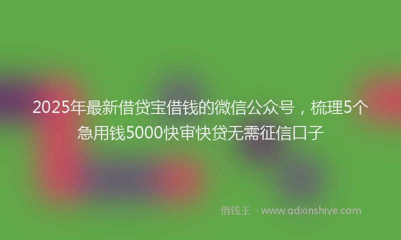 2025年最新借贷宝借钱的微信公众号，梳理5个急用钱5000快审快贷无需征信口子