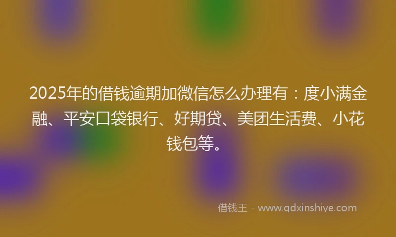 2025年的借钱逾期加微信怎么办理有：度小满金融、平安口袋银行、好期贷、美团生活费、小花钱包等。