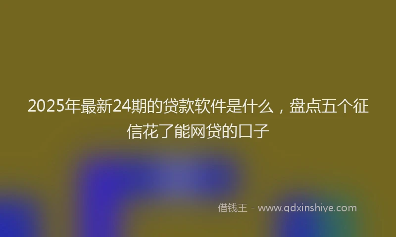 2025年最新24期的贷款软件是什么，盘点五个征信花了能网贷的口子