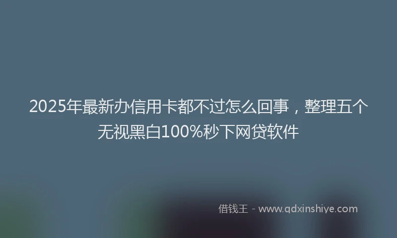 2025年最新办信用卡都不过怎么回事，整理五个无视黑白100%秒下网贷软件