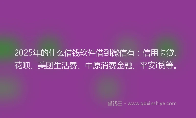 2025年的什么借钱软件借到微信有：信用卡贷、花呗、美团生活费、中原消费金融、平安i贷等。