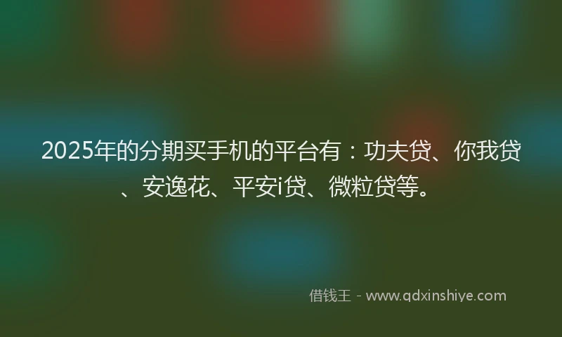 2025年的分期买手机的平台有：功夫贷、你我贷、安逸花、平安i贷、微粒贷等。