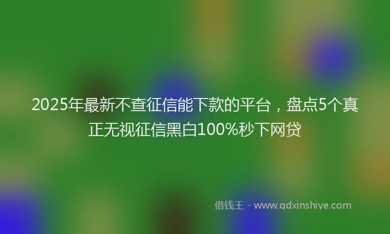2025年最新不查征信能下款的平台，盘点5个真正无视征信黑白100%秒下网贷