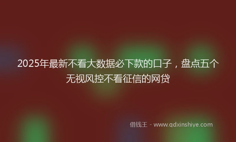 2025年最新不看大数据必下款的口子，盘点五个无视风控不看征信的网贷