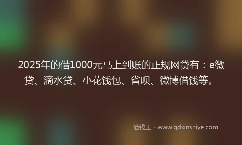 2025年的借1000元马上到账的正规网贷有：e微贷、滴水贷、小花钱包、省呗、微博借钱等。