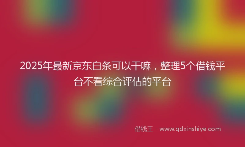 2025年最新京东白条可以干嘛，整理5个借钱平台不看综合评估的平台
