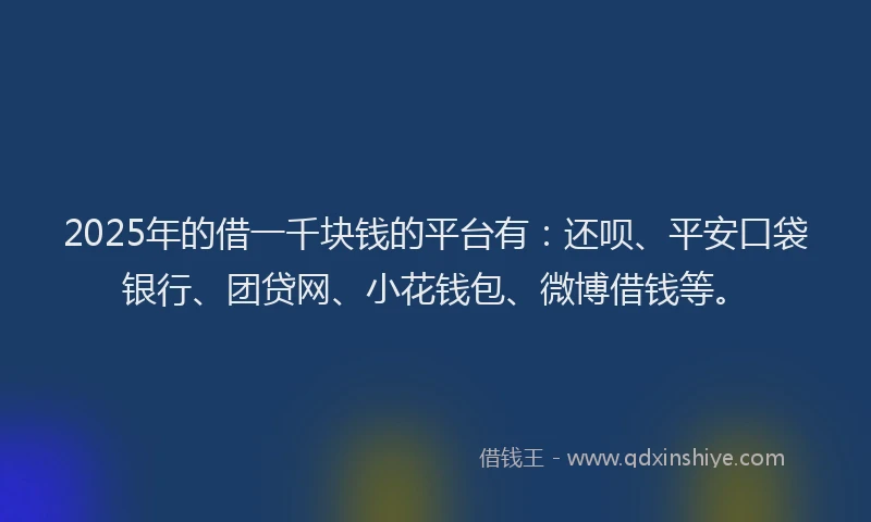 2025年的借一千块钱的平台有：还呗、平安口袋银行、团贷网、小花钱包、微博借钱等。