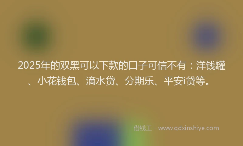 2025年的双黑可以下款的口子可信不有：洋钱罐、小花钱包、滴水贷、分期乐、平安i贷等。