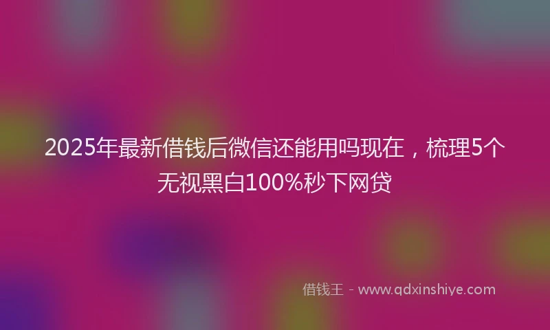 2025年最新借钱后微信还能用吗现在，梳理5个无视黑白100%秒下网贷