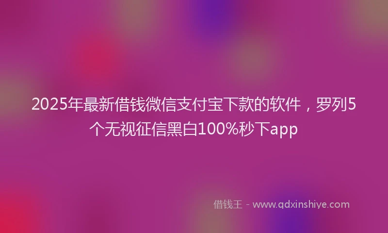 2025年最新借钱微信支付宝下款的软件，罗列5个无视征信黑白100%秒下app
