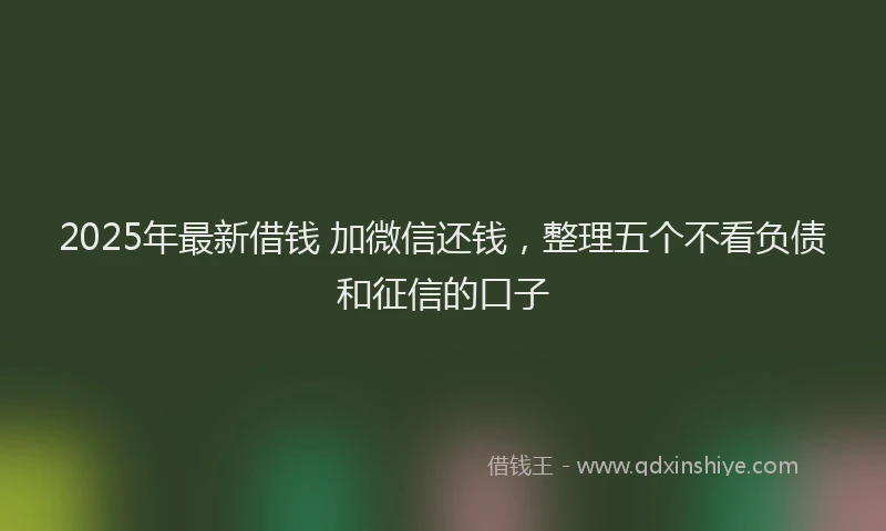 2025年最新借钱 加微信还钱，整理五个不看负债和征信的口子