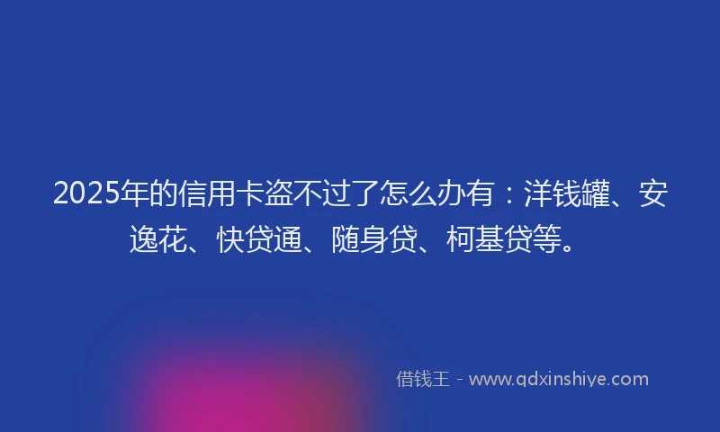 2025年的信用卡盗不过了怎么办有：洋钱罐、安逸花、快贷通、随身贷、柯基贷等。