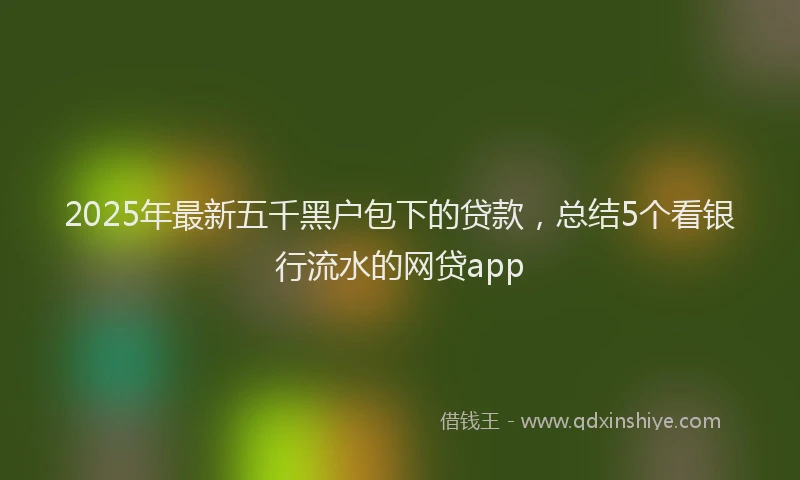 2025年最新五千黑户包下的贷款，总结5个看银行流水的网贷app