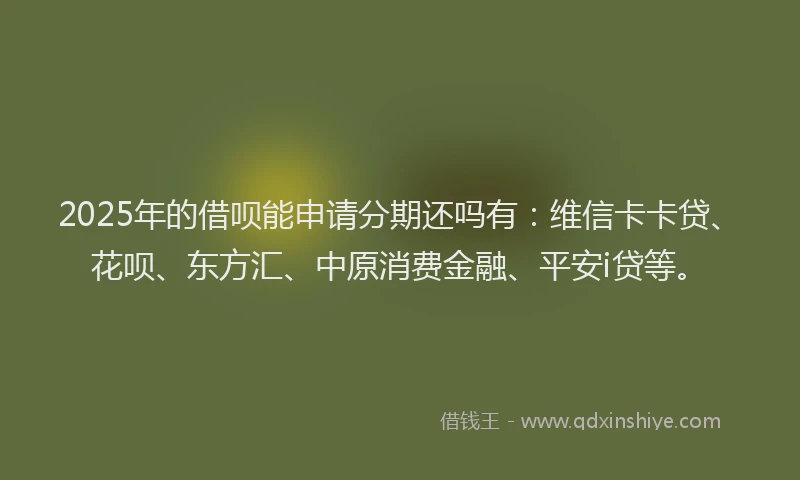 2025年的借呗能申请分期还吗有：维信卡卡贷、花呗、东方汇、中原消费金融、平安i贷等。