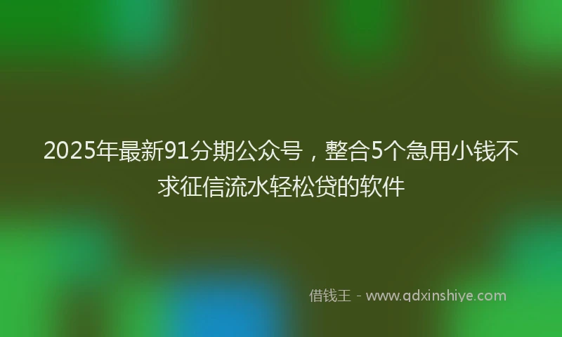 2025年最新91分期公众号，整合5个急用小钱不求征信流水轻松贷的软件
