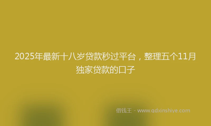2025年最新十八岁贷款秒过平台，整理五个11月独家贷款的口子