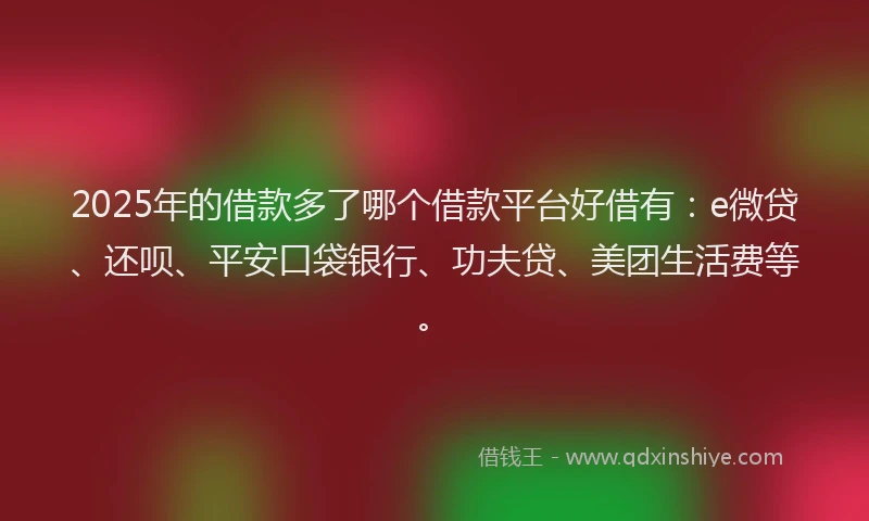 2025年的借款多了哪个借款平台好借有：e微贷、还呗、平安口袋银行、功夫贷、美团生活费等。