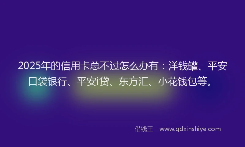 2025年的信用卡总不过怎么办有：洋钱罐、平安口袋银行、平安i贷、东方汇、小花钱包等。