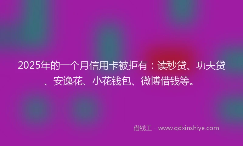 2025年的一个月信用卡被拒有：读秒贷、功夫贷、安逸花、小花钱包、微博借钱等。