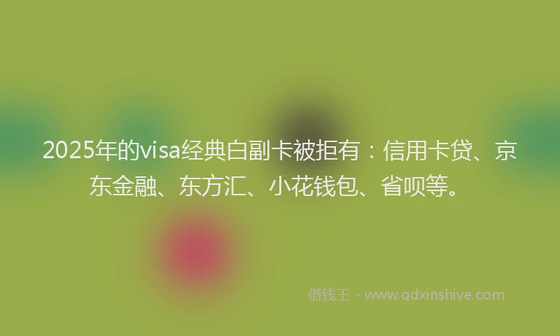2025年的visa经典白副卡被拒有：信用卡贷、京东金融、东方汇、小花钱包、省呗等。