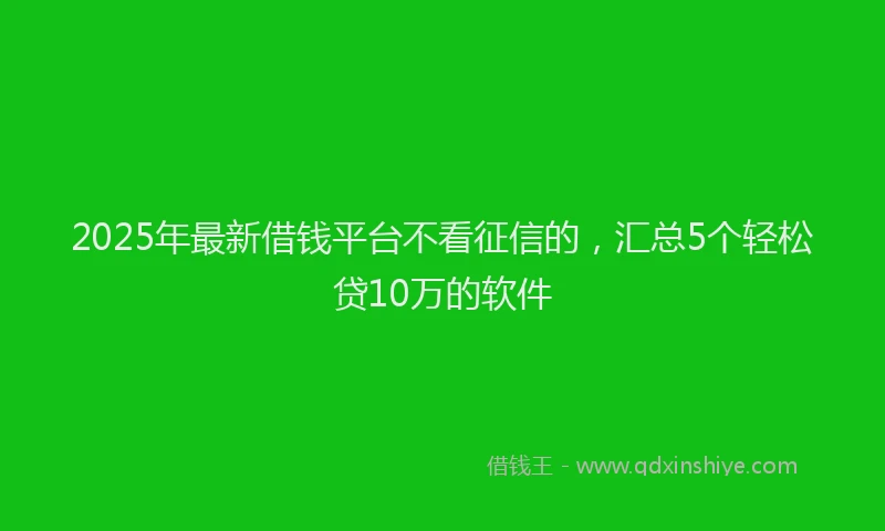 2025年最新借钱平台不看征信的，汇总5个轻松贷10万的软件