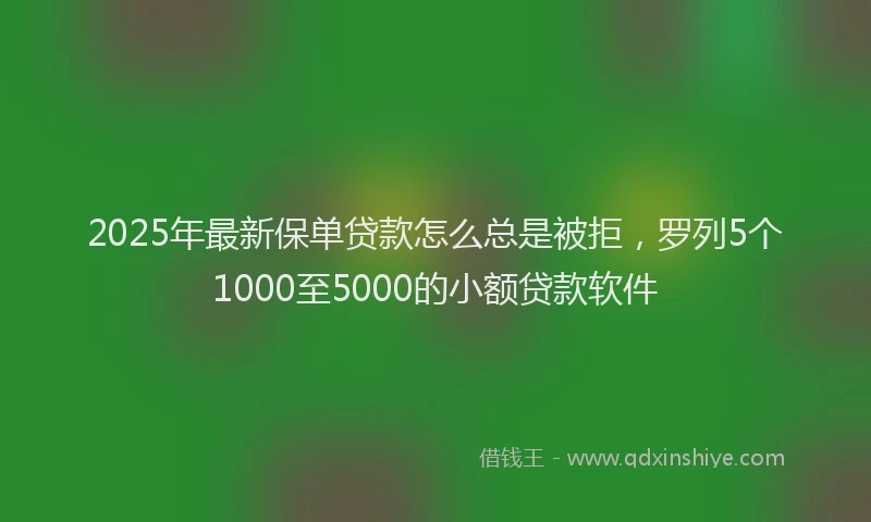 2025年最新保单贷款怎么总是被拒，罗列5个1000至5000的小额贷款软件