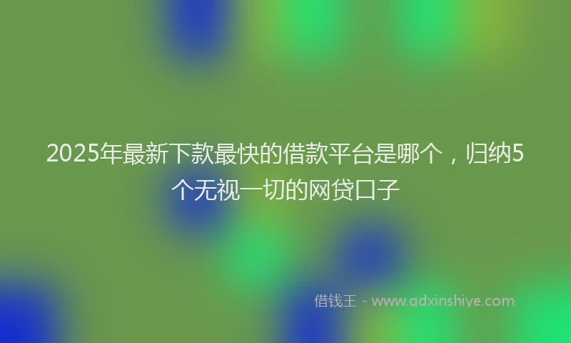 2025年最新下款最快的借款平台是哪个，归纳5个无视一切的网贷口子