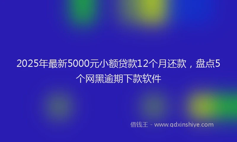 2025年最新5000元小额贷款12个月还款，盘点5个网黑逾期下款软件