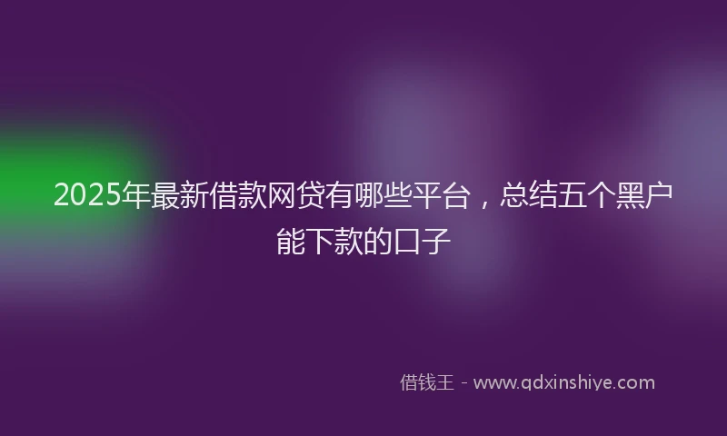 2025年最新借款网贷有哪些平台，总结五个黑户能下款的口子