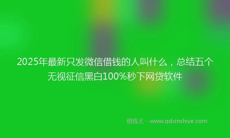 2025年最新只发微信借钱的人叫什么，总结五个无视征信黑白100%秒下网贷软件