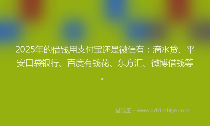 2025年的借钱用支付宝还是微信有：滴水贷、平安口袋银行、百度有钱花、东方汇、微博借钱等。