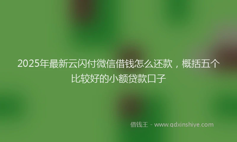 2025年最新云闪付微信借钱怎么还款，概括五个比较好的小额贷款口子
