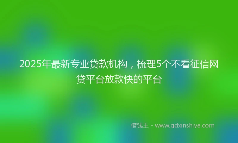 2025年最新专业贷款机构，梳理5个不看征信网贷平台放款快的平台