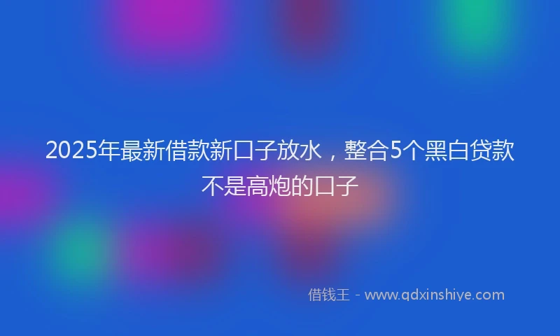 2025年最新借款新口子放水，整合5个黑白贷款不是高炮的口子