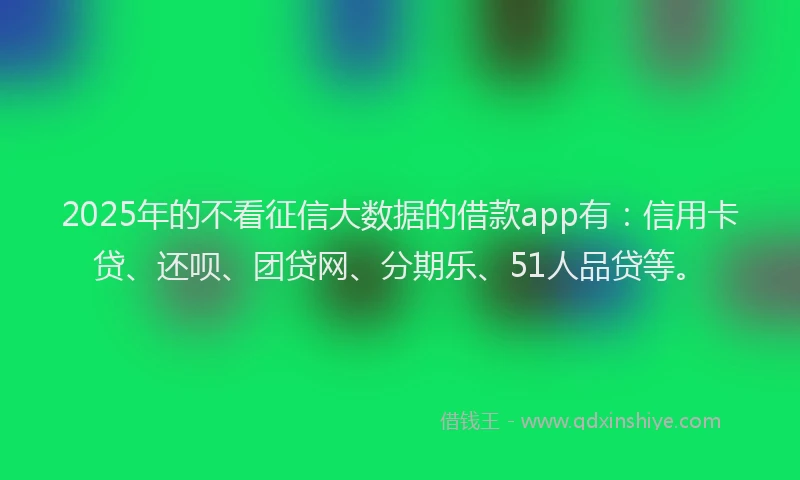 2025年的不看征信大数据的借款app有：信用卡贷、还呗、团贷网、分期乐、51人品贷等。