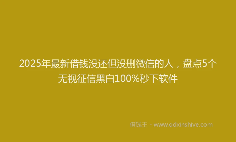 2025年最新借钱没还但没删微信的人，盘点5个无视征信黑白100%秒下软件