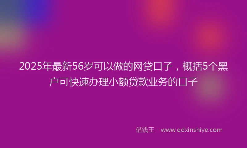 2025年最新56岁可以做的网贷口子，概括5个黑户可快速办理小额贷款业务的口子