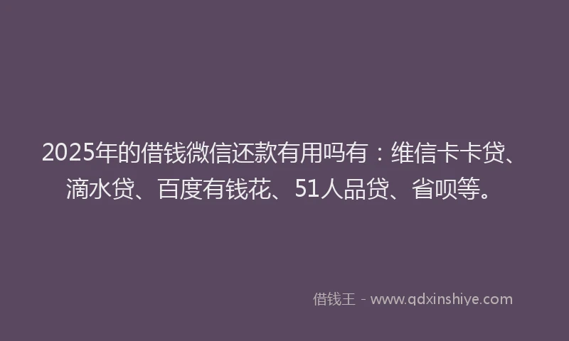 2025年的借钱微信还款有用吗有：维信卡卡贷、滴水贷、百度有钱花、51人品贷、省呗等。